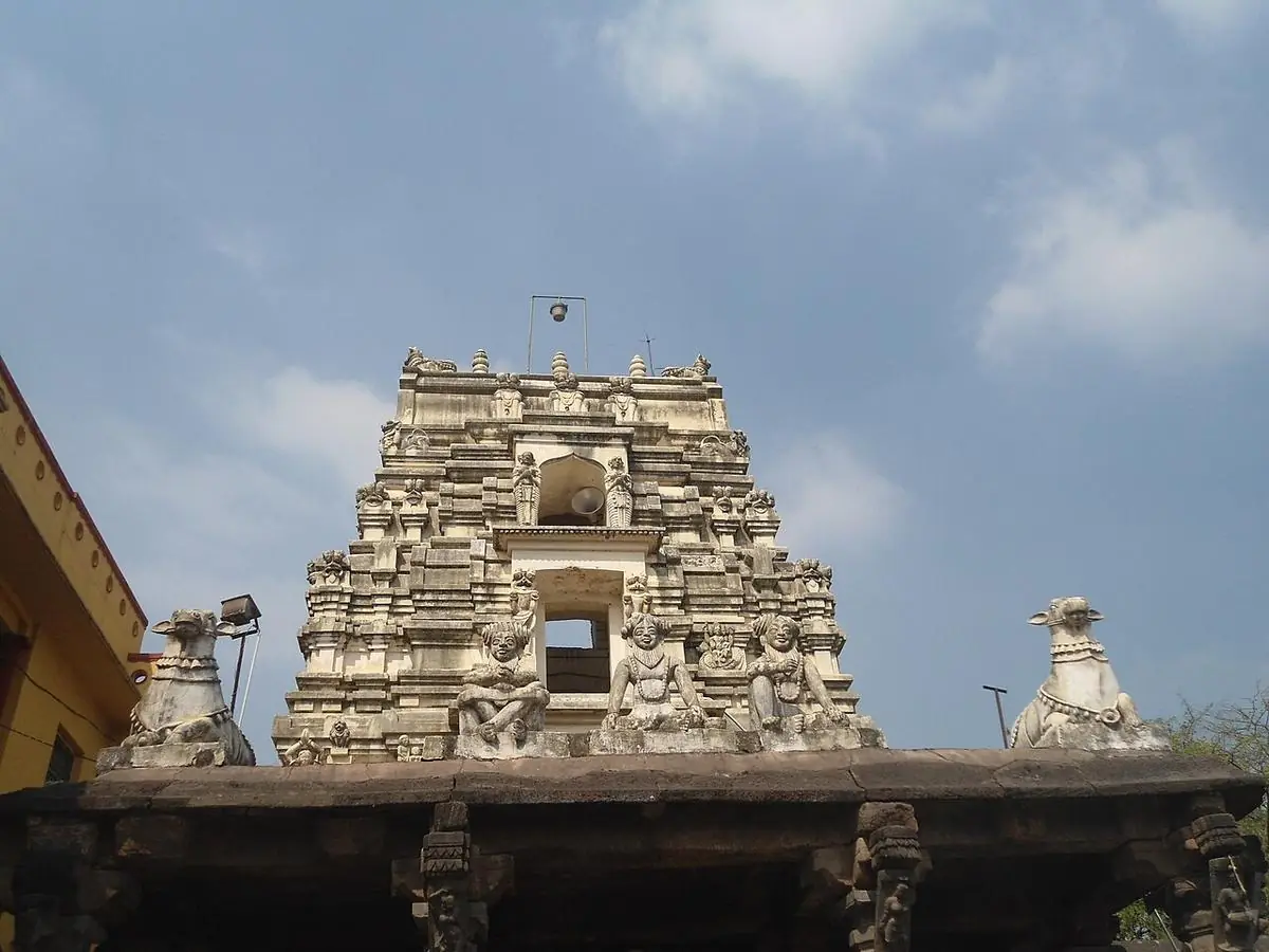 What happens after you join the queue - draksharamam temple timings