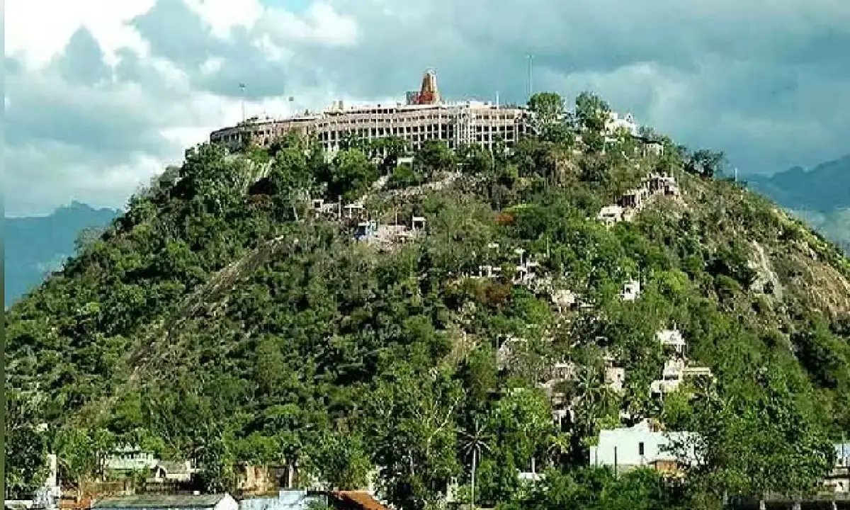 Mistake 3: Ignoring the reporting time - palani temple online booking