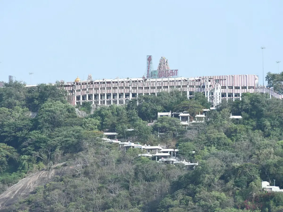 Mistake 4: Using unofficial agents - palani temple online booking