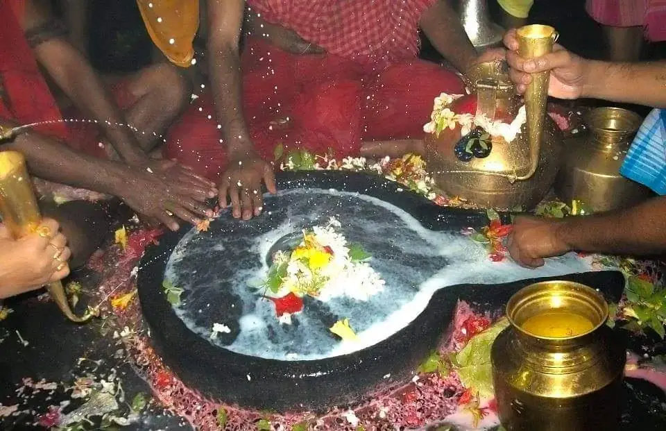 VIP darshan, shighra darshan, and puja are different - baba baidyanath dham vip pass price