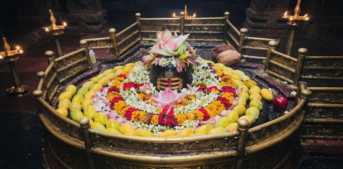 Darshan, Abhishek, Puja and Aarti: What to Expect - grishneshwar temple tickets