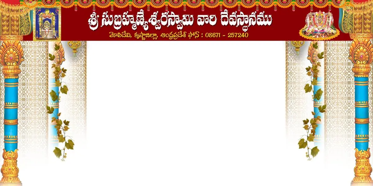Online booking, counter tickets and temple trust procedures - mopidevi temple